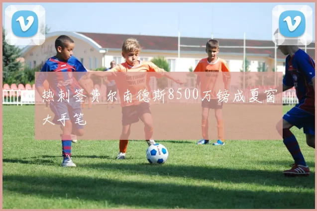 热刺签费尔南德斯8500万镑成夏窗大手笔